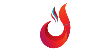 MS ASP.NET Web Forms VS development Detroit MI